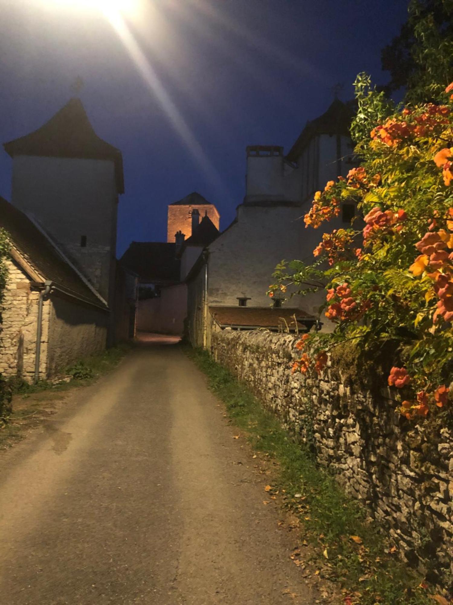 Le Pigeonnier Maison De Caractere Logement 4 Personnes La Maisonnette Renovee Logement 2 Personnes Floirac  Экстерьер фото